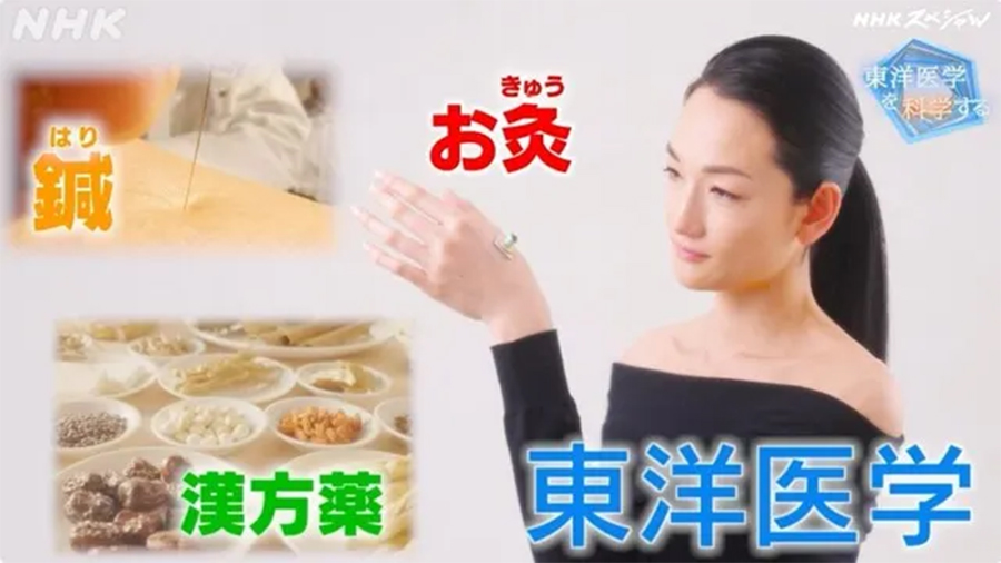 NHKスペシャル鍼灸治療特集